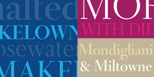 Didot-Headline-Font-4