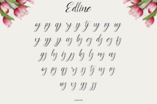 Edline-Modern-Calligraphy-Script-Font-10