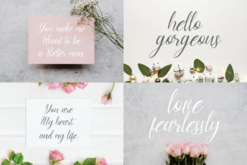 Edline-Modern-Calligraphy-Script-Font-11