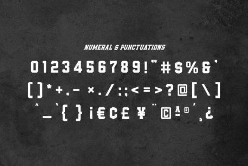 Empirez-Slab-Serif-Font-Family-12