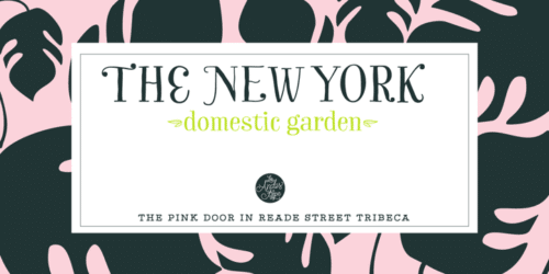 Garden-Font-4