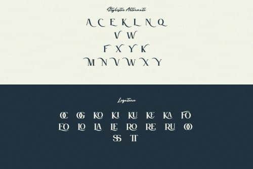 Grown-Elegant-Serif-Font-11