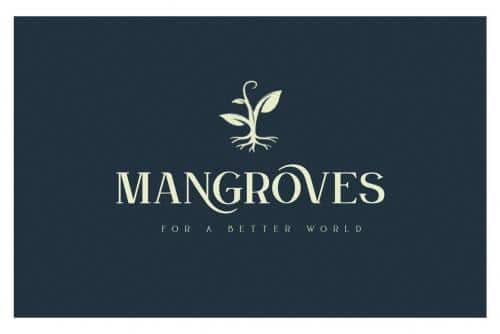 Grown-Elegant-Serif-Font-4