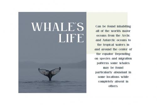 Grown-Elegant-Serif-Font-5