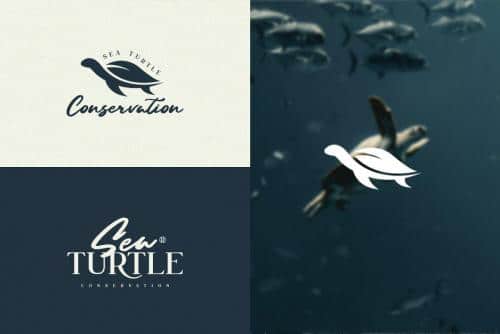 Grown-Elegant-Serif-Font-7