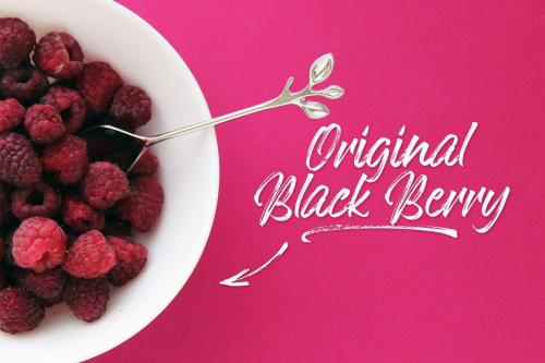 Hokagata-Brush-Script-Font-6