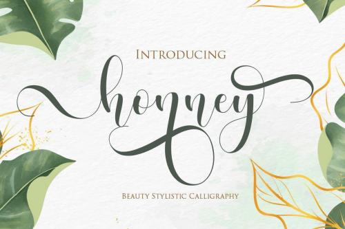 Honney-Modern-Calligraphy-Script-Font-1