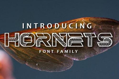 Hornets-Font (1)