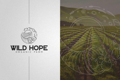 Kavo-Inline-Bold-Display-Font-8