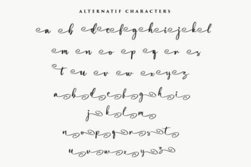 Magnolia-Bold-Calligraphy-Script-Font-11