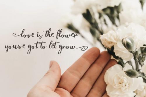 Magnolia-Bold-Calligraphy-Script-Font-4