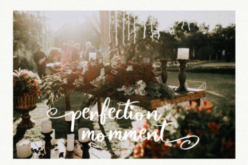 Magnolia-Bold-Calligraphy-Script-Font-5