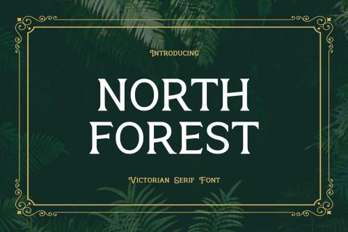 North-Forest-Font-1