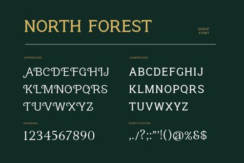 North-Forest-Font-2