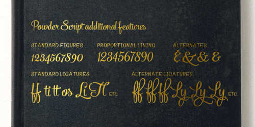 Powder-Script-Font-3