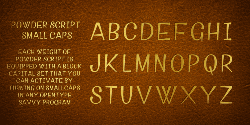 Powder-Script-Font-4