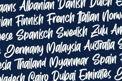 Rezpector-Stylish-Display-Font-11