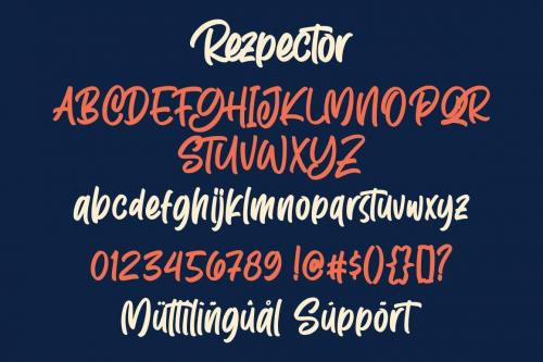 Rezpector-Stylish-Display-Font-8