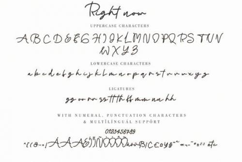 Right-Now-Script-Font-13