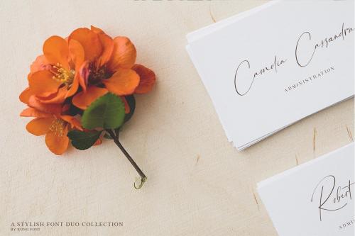 Road-Sunshine-Font-Duo-14