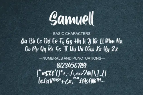 Samuell-Brush-Script-Font-10