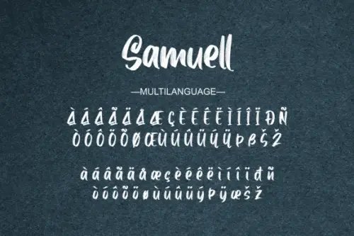 Samuell-Brush-Script-Font-11