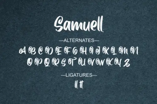 Samuell-Brush-Script-Font-12