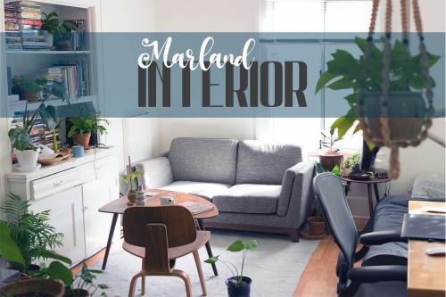 South-Forest-Sans-Script-Font-Duo-3