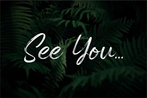 Spartwell-Brush-Font-12