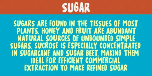 Sugar-Free-Font-4