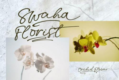 Swaha-Handwritten-Script-Font-2