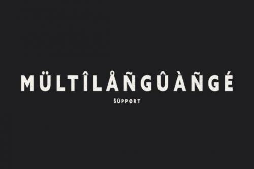 Vandal-Sans-Serif-Display-Font-8