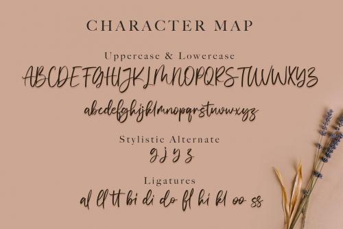 Vivy-Aquilla-Handwritten-Font-14