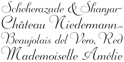 Wagner-Script-Pro-Font-2