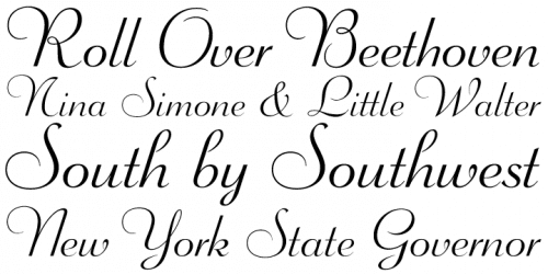 Wagner-Script-Pro-Font-3