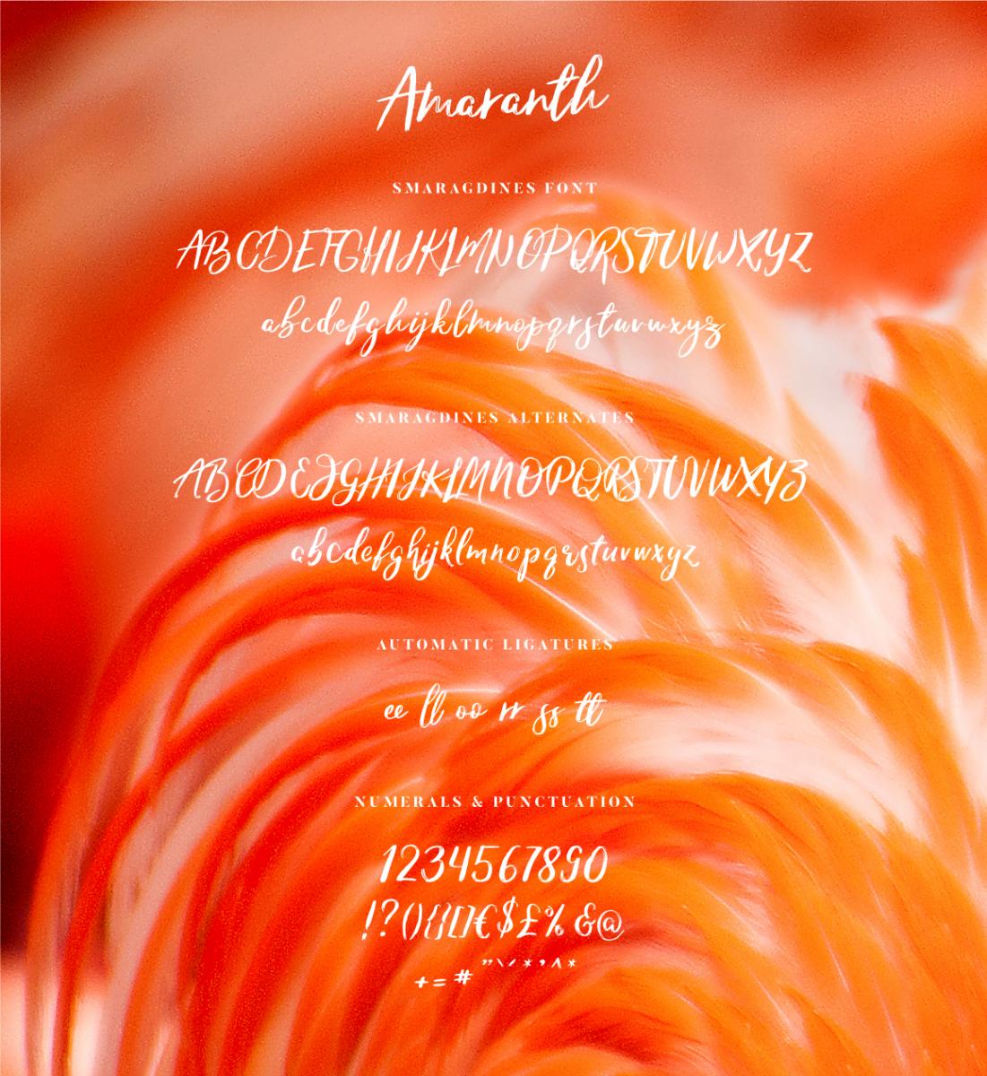 Amaranth Handwritten Font