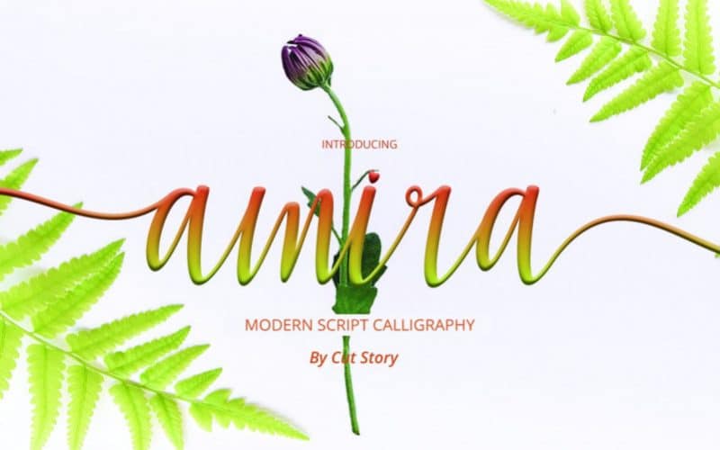 Amira Calligraphy Font