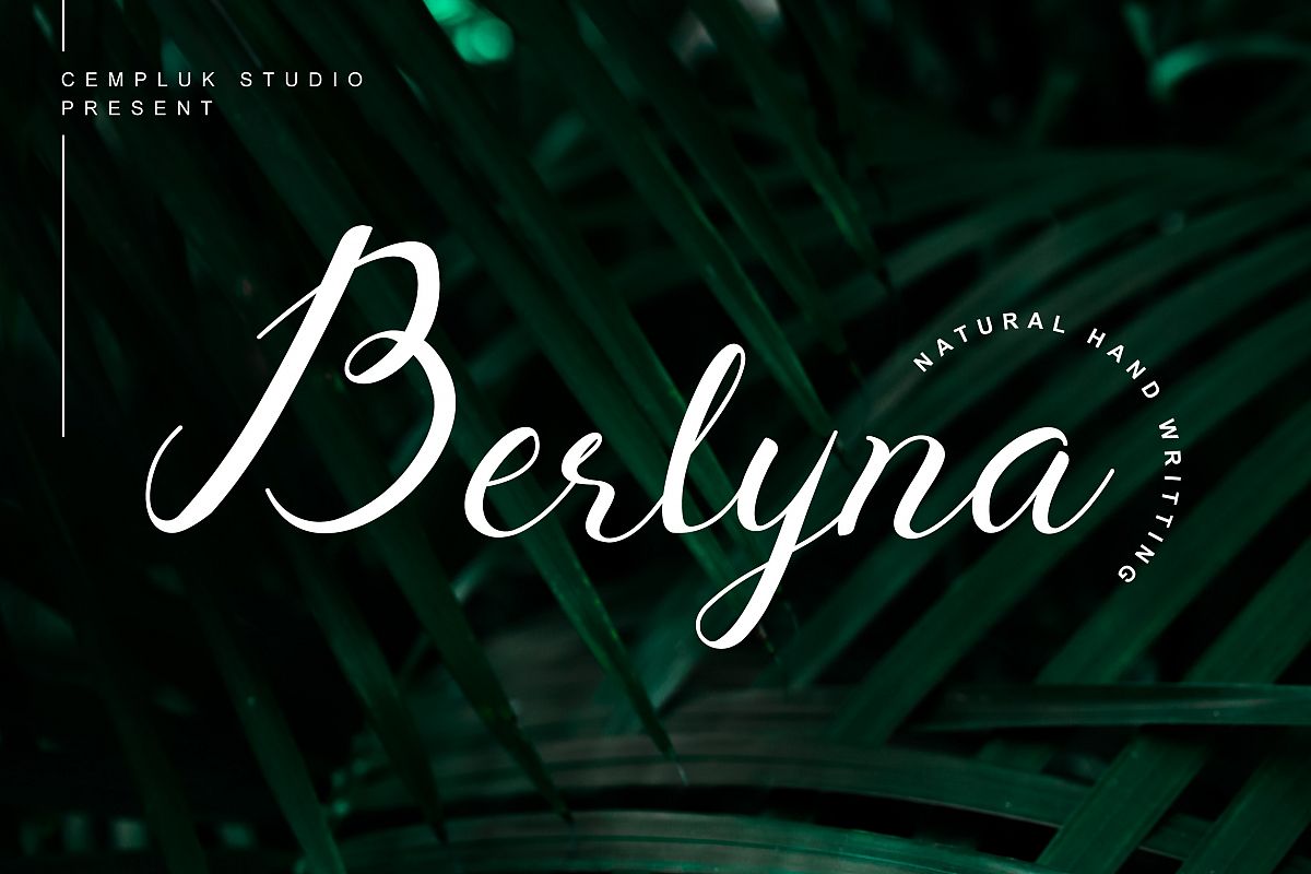 Berlyna Modern Script Font
