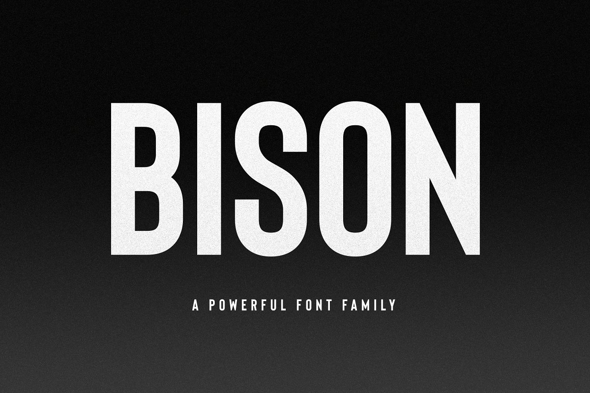 Bison A Powerful Sans Serif Font