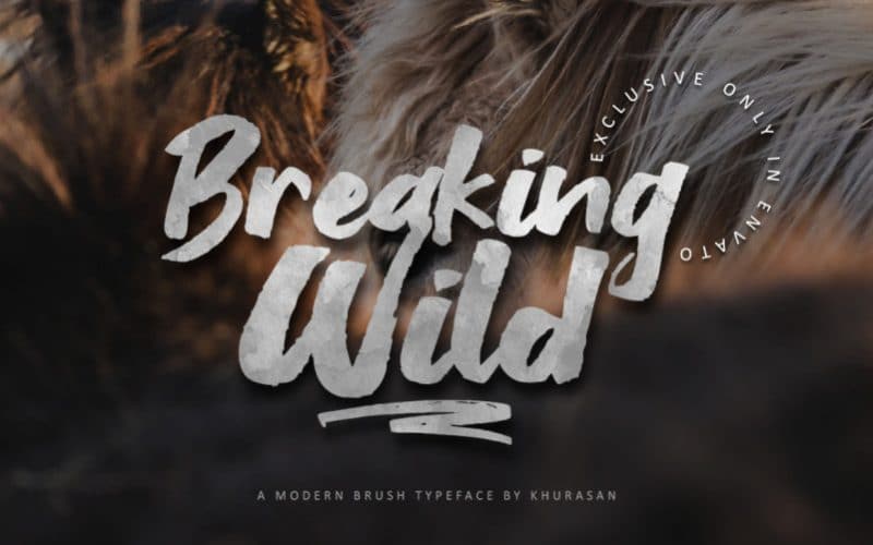 Breaking Wild Brush Font
