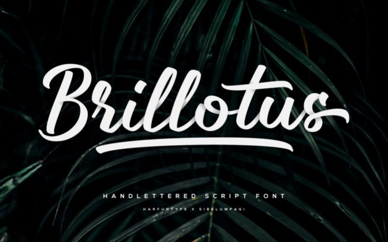 Brillotus Hand lettered Font