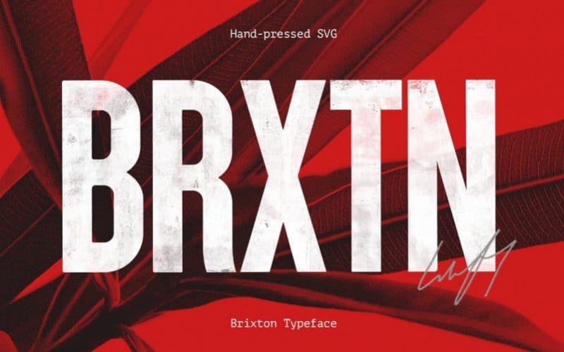 Brixton Wood Display Font