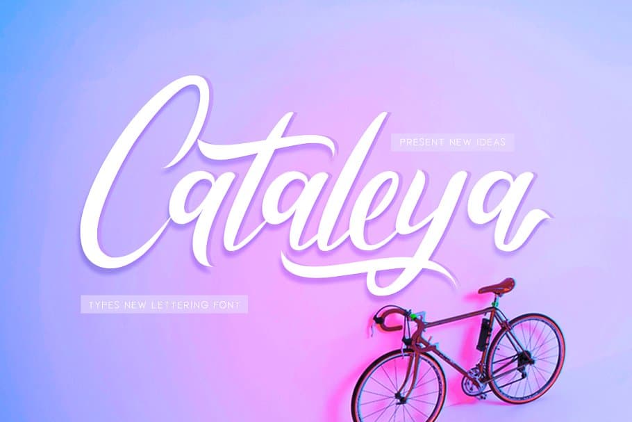 Cataleya Font