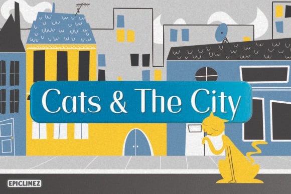 Cats and the CIty Sans Serif Font