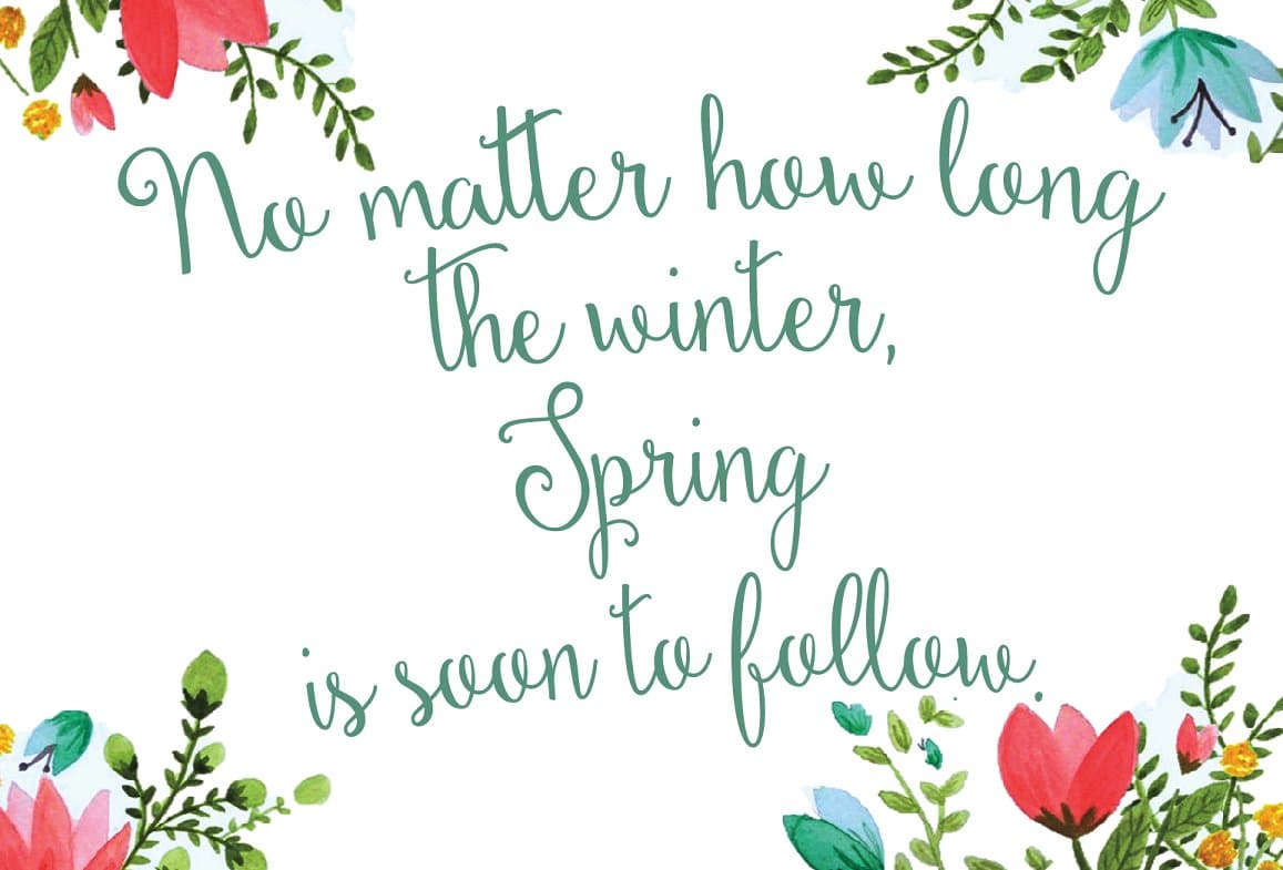 Dandelion Soup Store Script Font