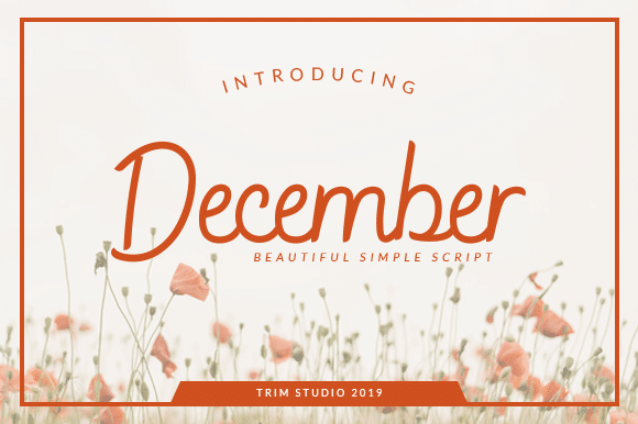 December Script Font