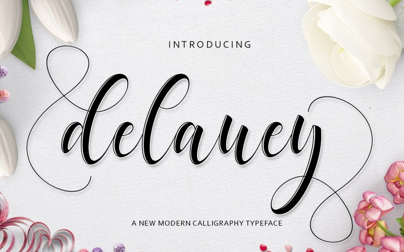 Delaney Script Font