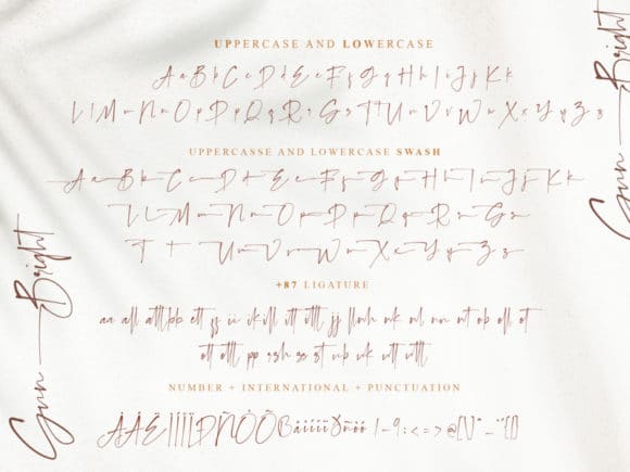 Diora Sunbright Script Font