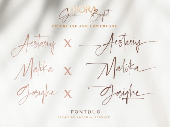 Diora Sunbright Script Font