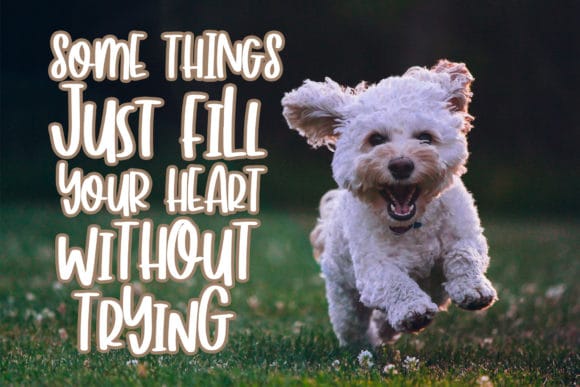 Hey Charlie Script Font